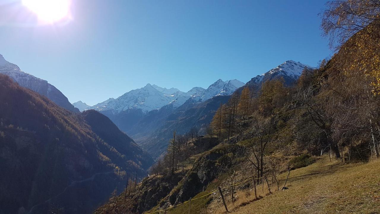 Chalet La Paz With Hotpot And Sauna Villa Torbel Bagian luar foto