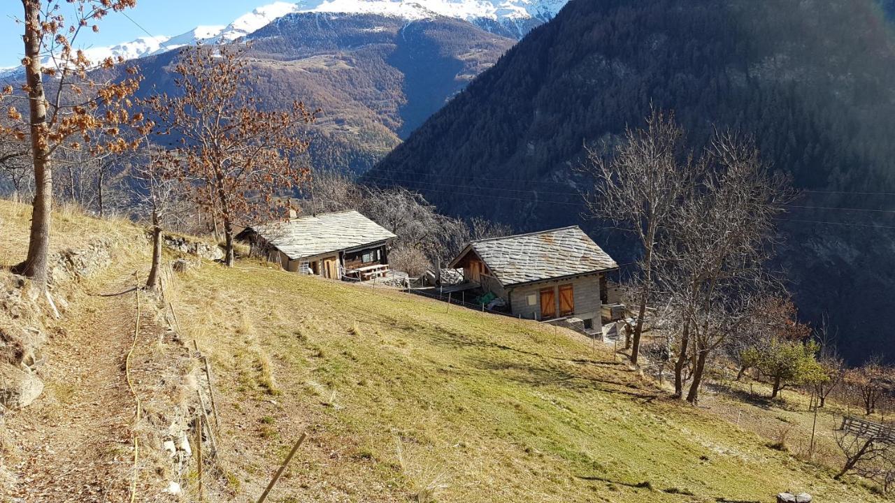 Chalet La Paz With Hotpot And Sauna Villa Torbel Bagian luar foto