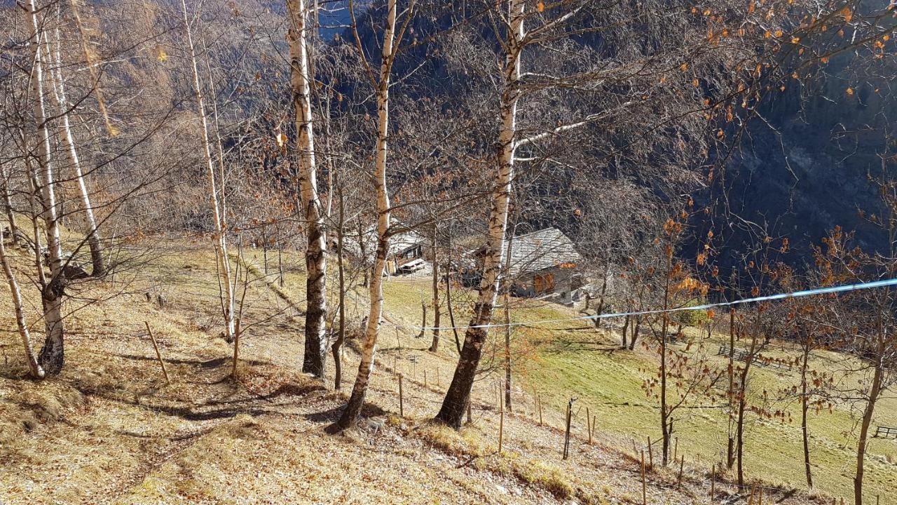 Chalet La Paz With Hotpot And Sauna Villa Torbel Bagian luar foto