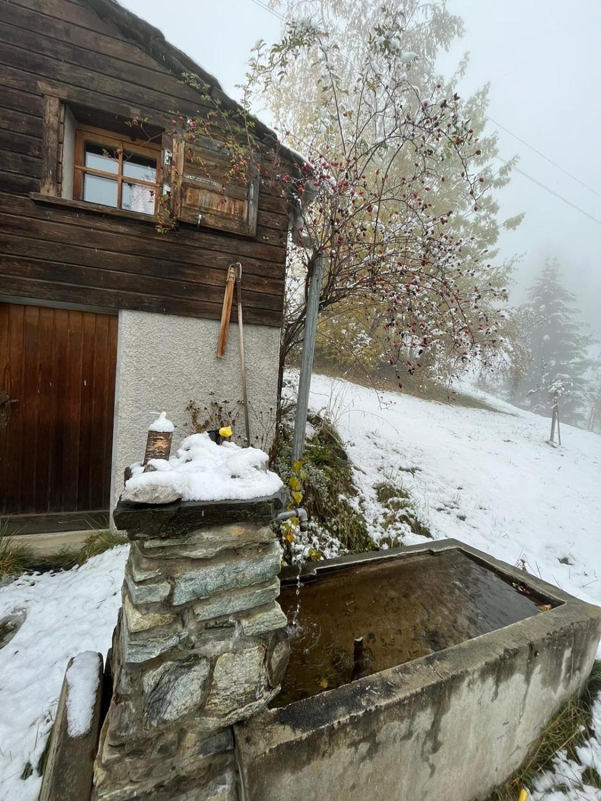 Chalet La Paz With Hotpot And Sauna Villa Torbel Bagian luar foto