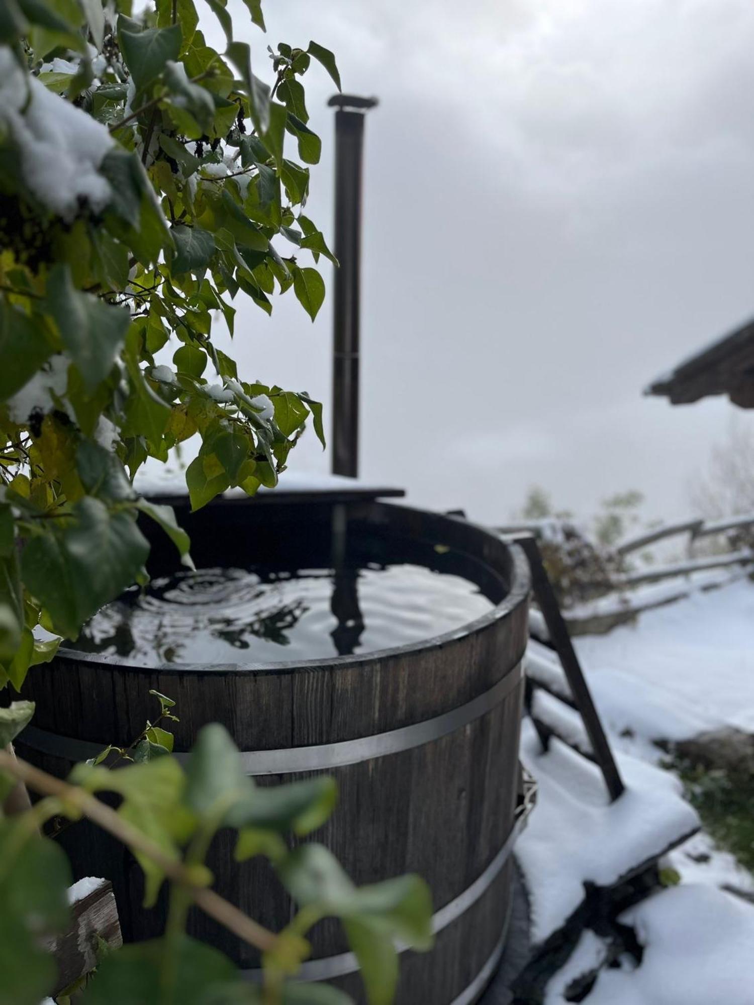 Chalet La Paz With Hotpot And Sauna Villa Torbel Bagian luar foto